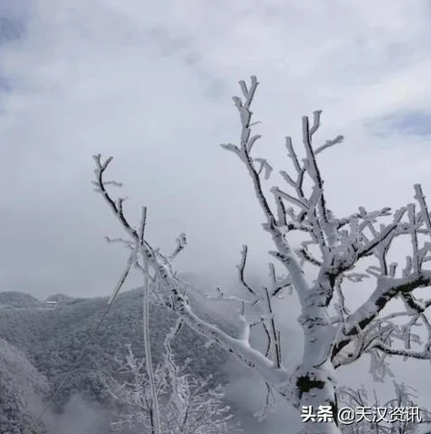 梦幻西游手游渠道版和官方版的区别_梦幻西游手游渠道服全解析，与官方版的区别及下载指南