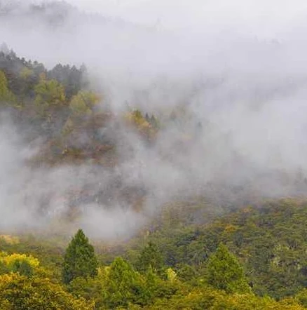 明日之后希望谷地和哪个区合区了_明日之后，希望谷合区后的新变化与机遇