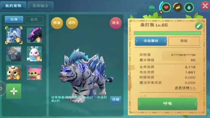 创造与魔法骨龙宠物怎么样_创造与魔法，深度解析骨龙宠物的抓捕价值