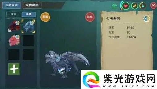 创造与魔法骨龙宠物怎么样_创造与魔法，深度解析骨龙宠物的抓捕价值