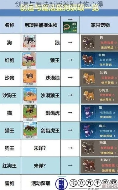 创造与魔法宠物融合大全表2020下载_创造与魔法宠物融合大全表2020，深度解析与融合技巧