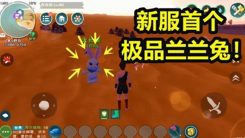 创造与魔法兰兰兔品质最高是多少_创造与魔法，兰兰兔全解析——技能、品质与深度探秘