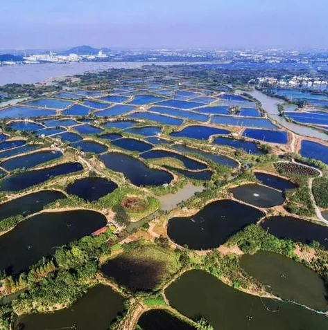 荒野行动点赞任务_荒野行动点灯挑战第五关，策略与技巧全解析