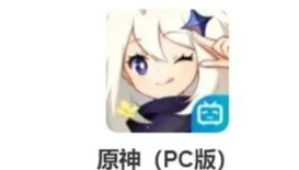 原神b服pc端无法登陆服务器吗_原神B服PC端无法登陆服务器？原因分析与解决办法