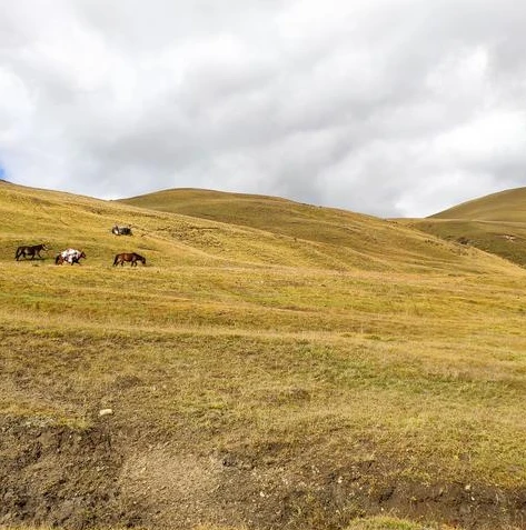 荒野行动什么时候能玩_荒野行动，开启游戏之旅的时间与游戏体验