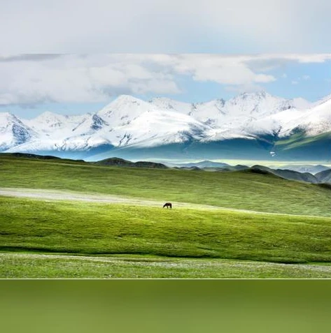 荒野行动什么时候能玩_荒野行动，开启游戏之旅的时间与游戏体验