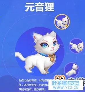 梦幻西游手游时光猫玩法_梦幻西游手游时光喵，趣味玩法与多元用途全解析